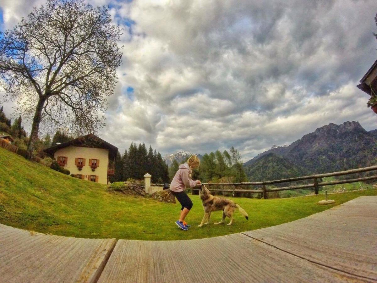 B&B Maso Al Cervo Fiera Di Primiero Eksteriør bilde